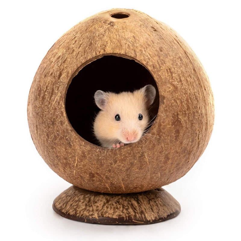 Fashionable Hamster Toy Supplies For Home Use - Picture color