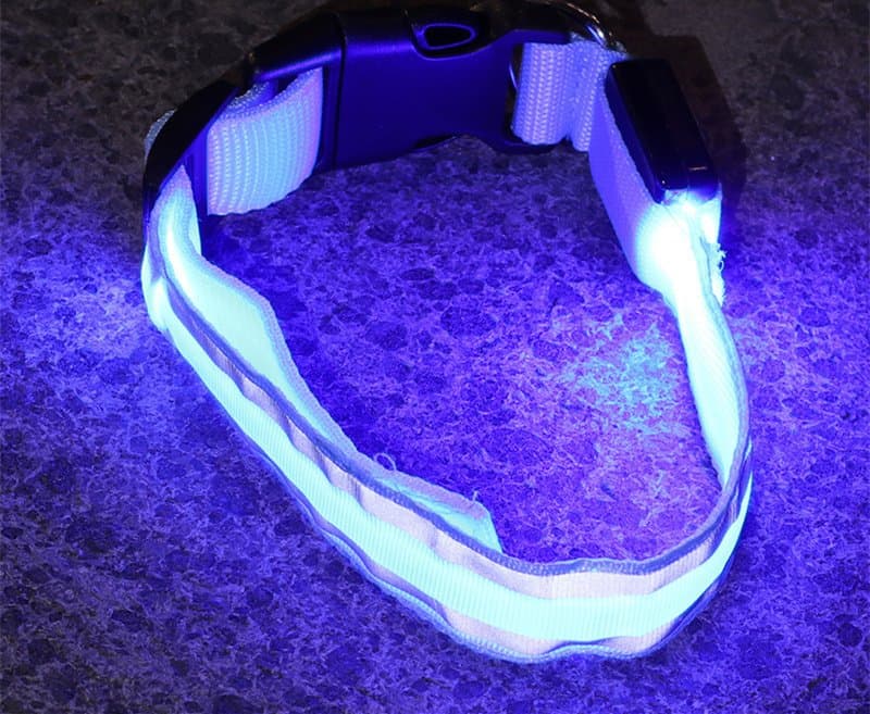 Anti-lost Led Luminous Dog Collar Pet Supplies - Blue battery model, L